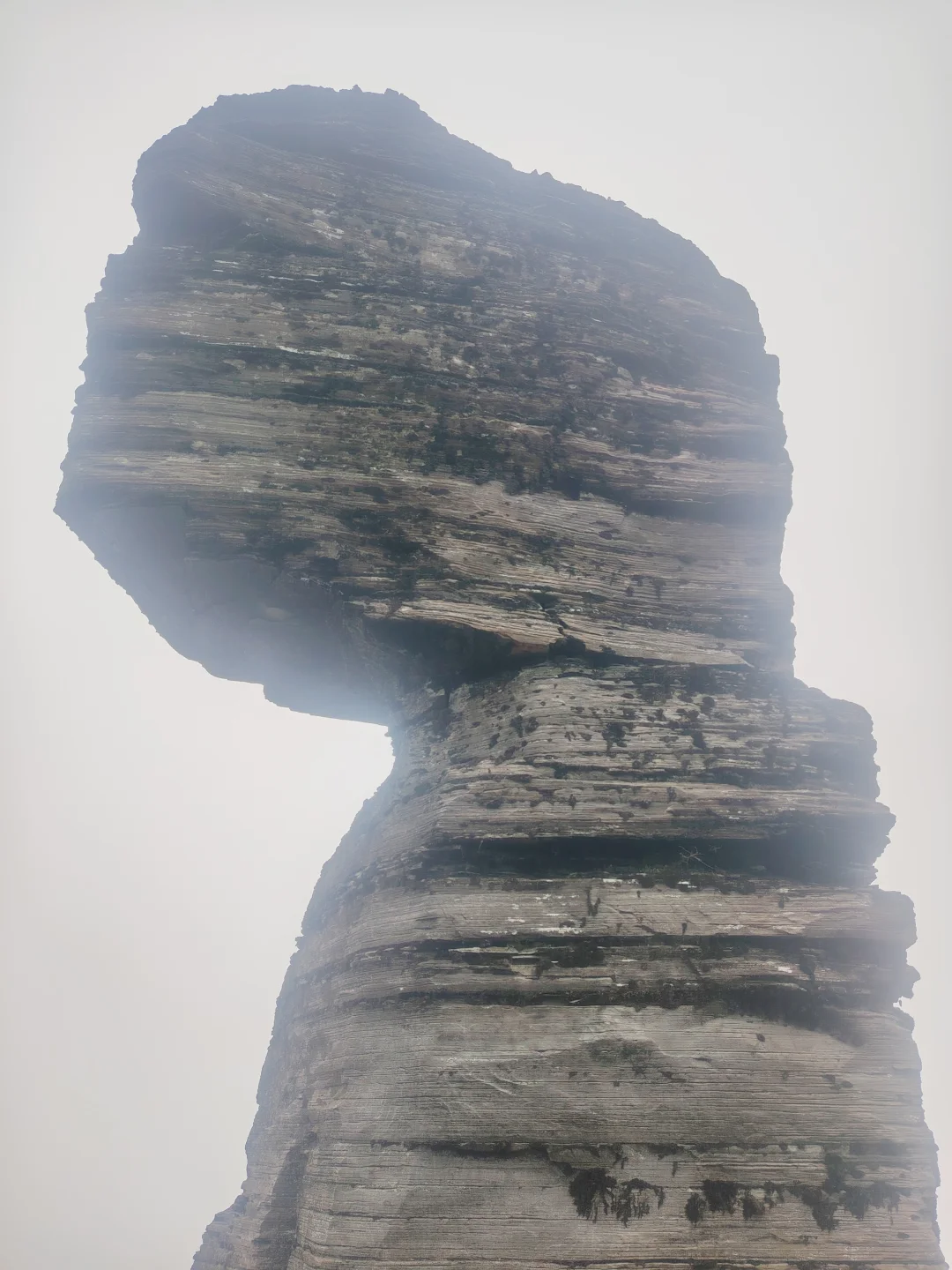 梵净山雨天攻略 遗憾与美景