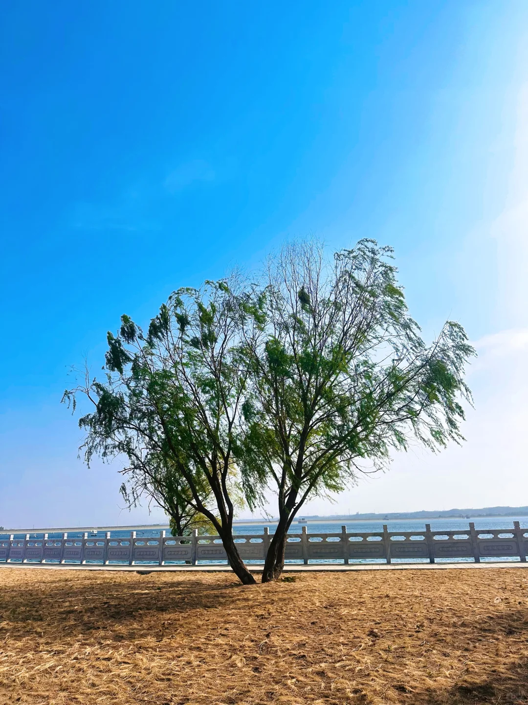 后来我逢人便说“邯郸小洱海”到底有多美‼️