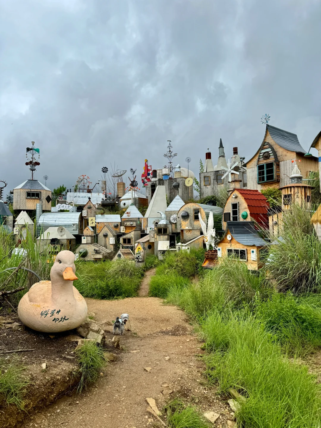 谁还不知道丽江有这么个神奇的地方啊