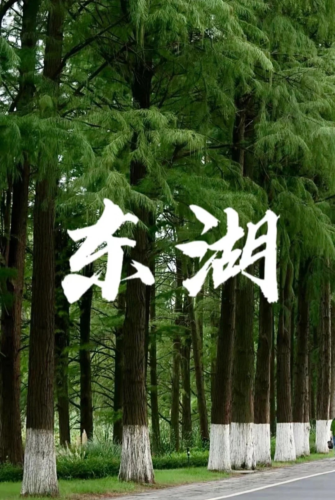 东湖一日深度游攻略！🚩