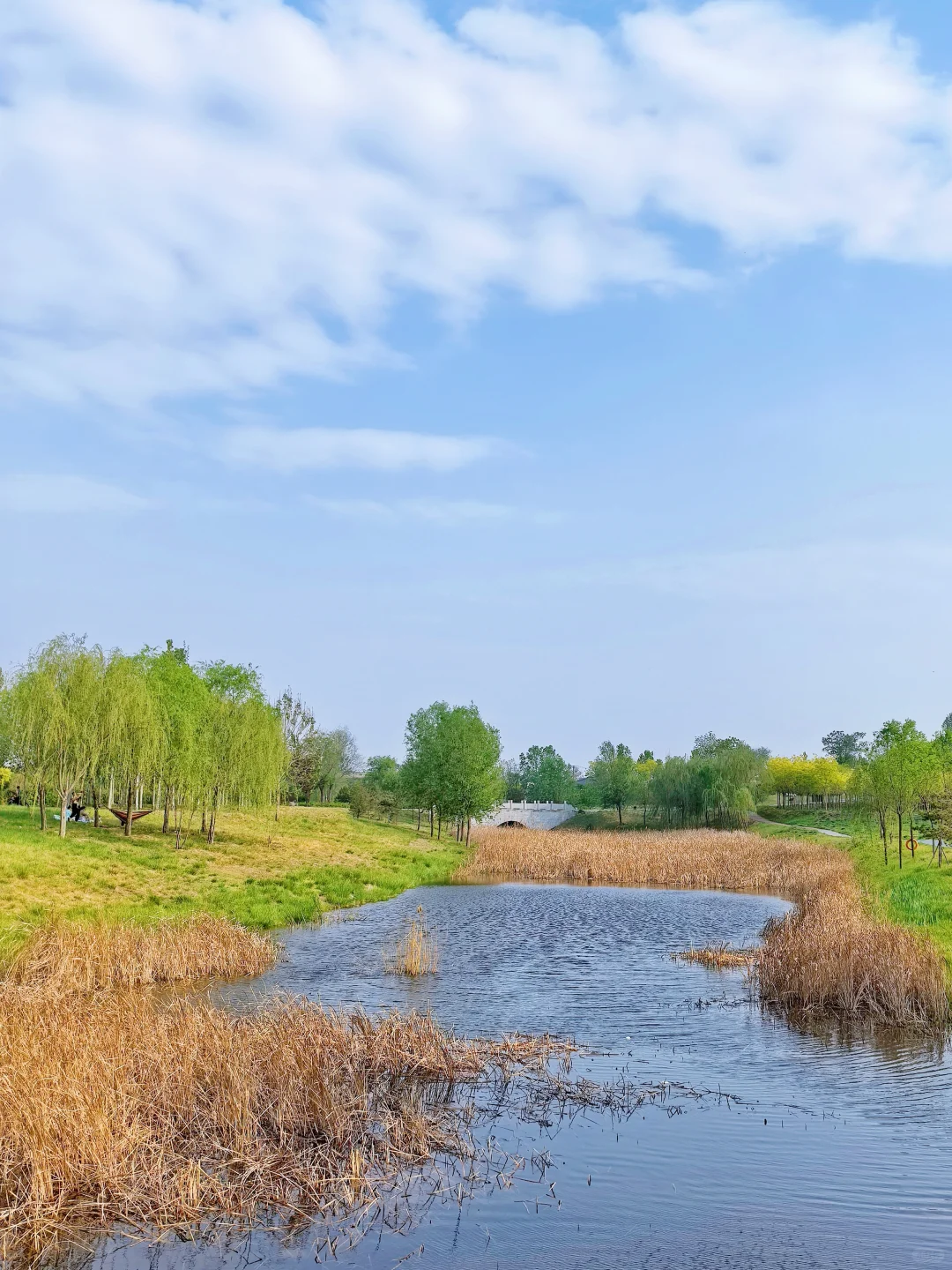 邯郸！发小带我来的小众公园，人少景超美