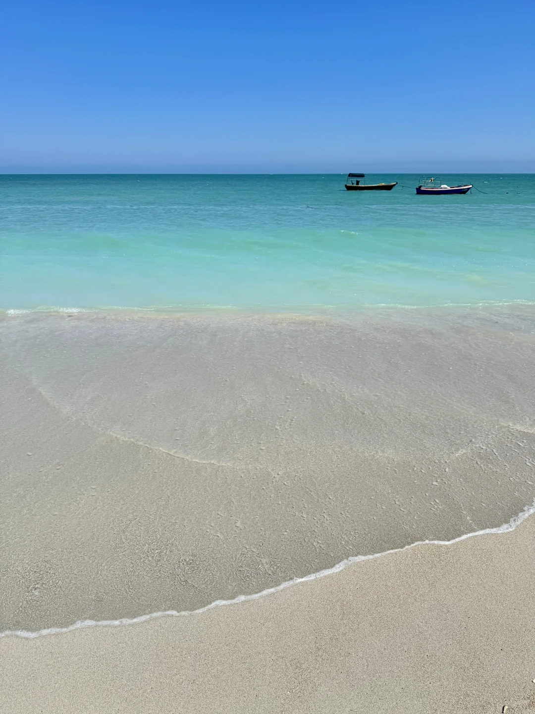 如果你在一个晴天的没有课的下午…