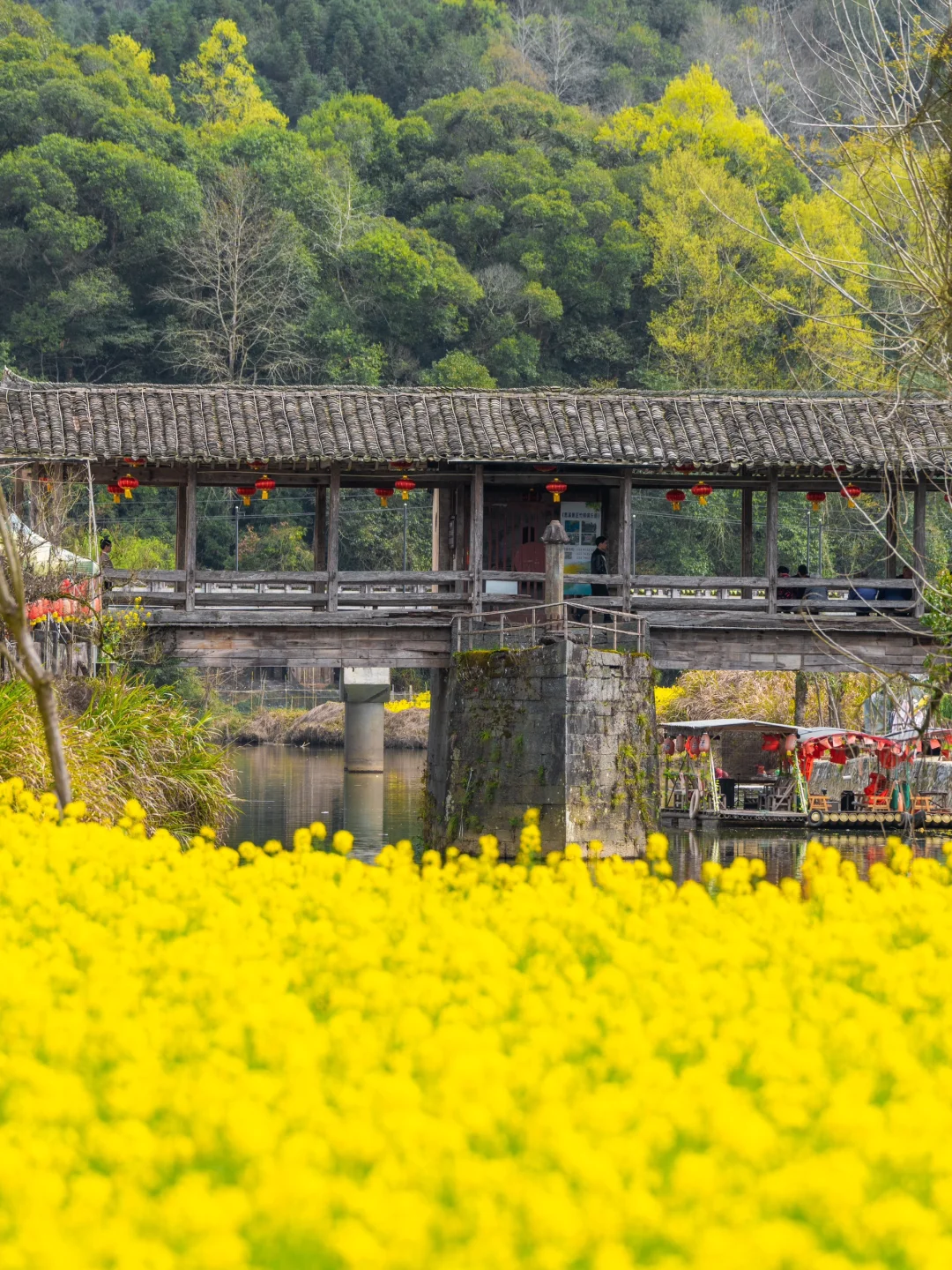 美哭了😭不愧是《国家地理》推荐的春日小城