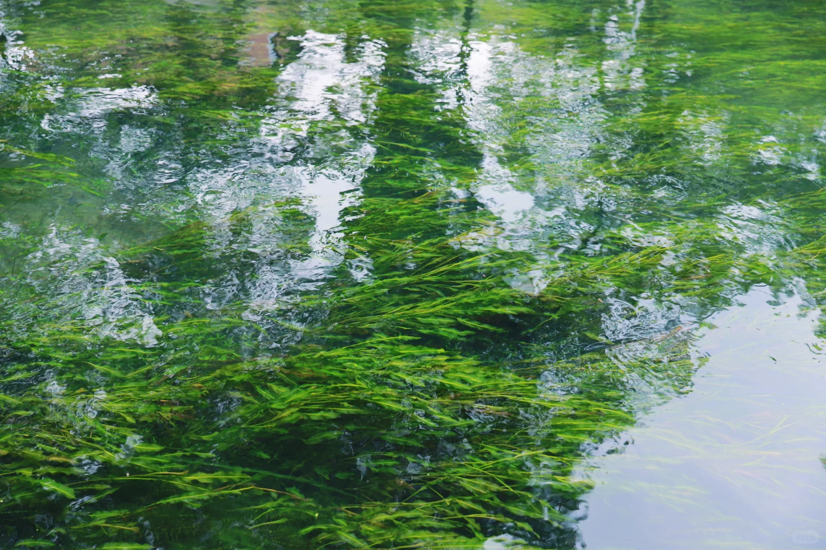 桂林周边游|安和龙井村