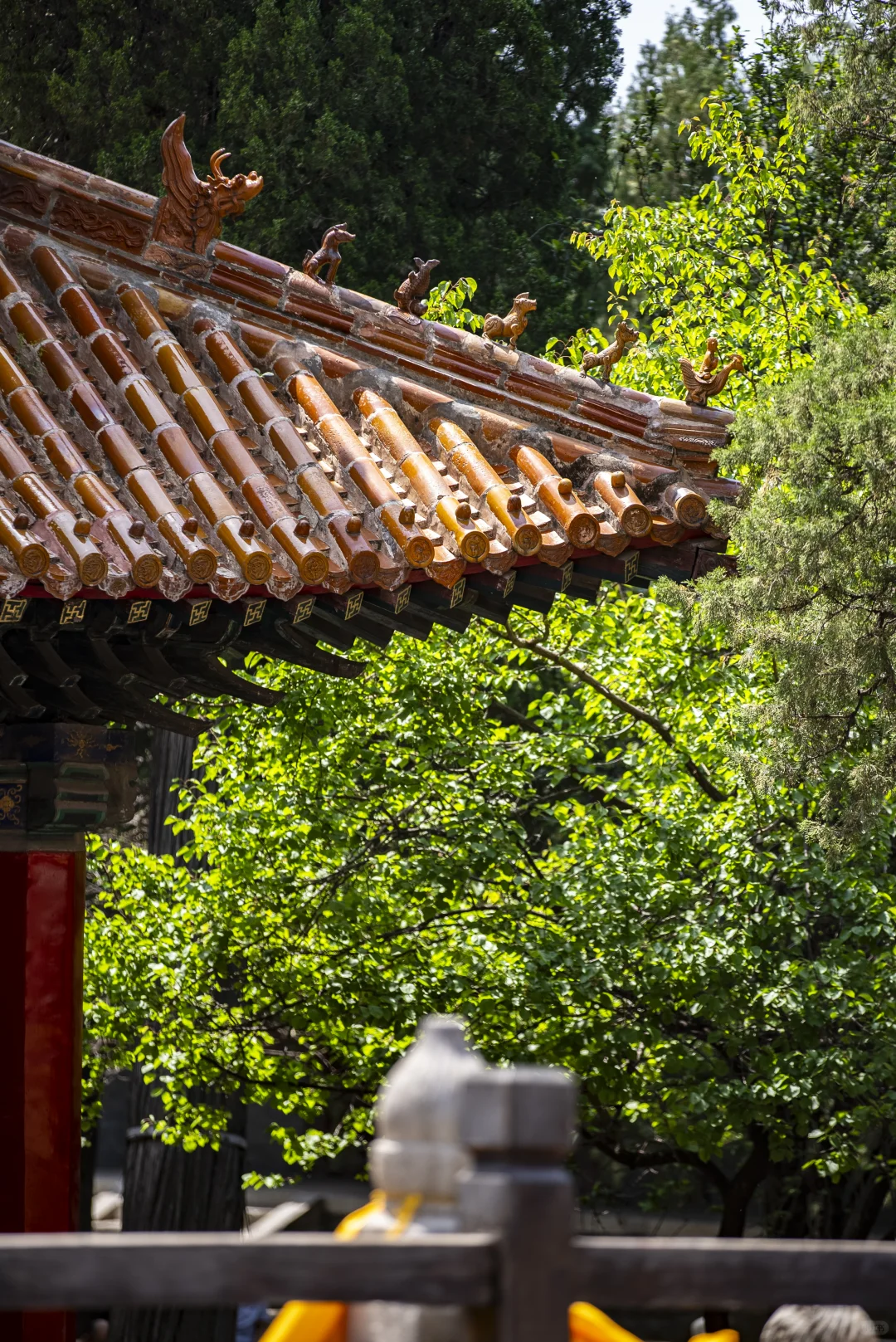 去景区加班之又来拍孔庙了