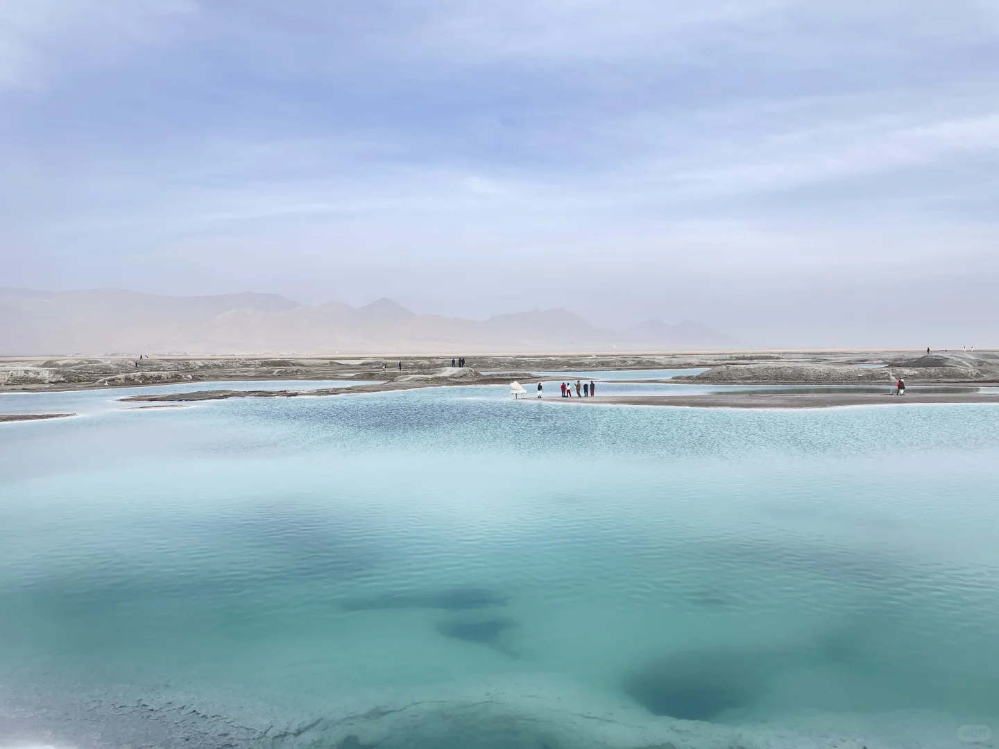 我们的青甘大环线完美落幕～