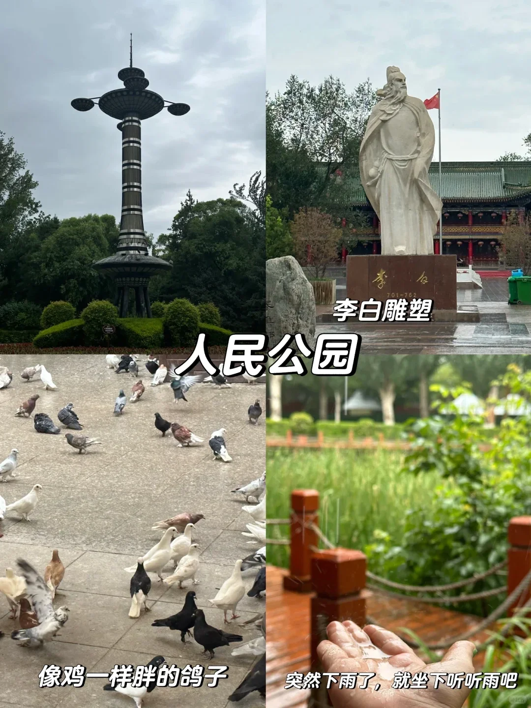 五一错峰游新疆！5月草原初醒，独享雪山