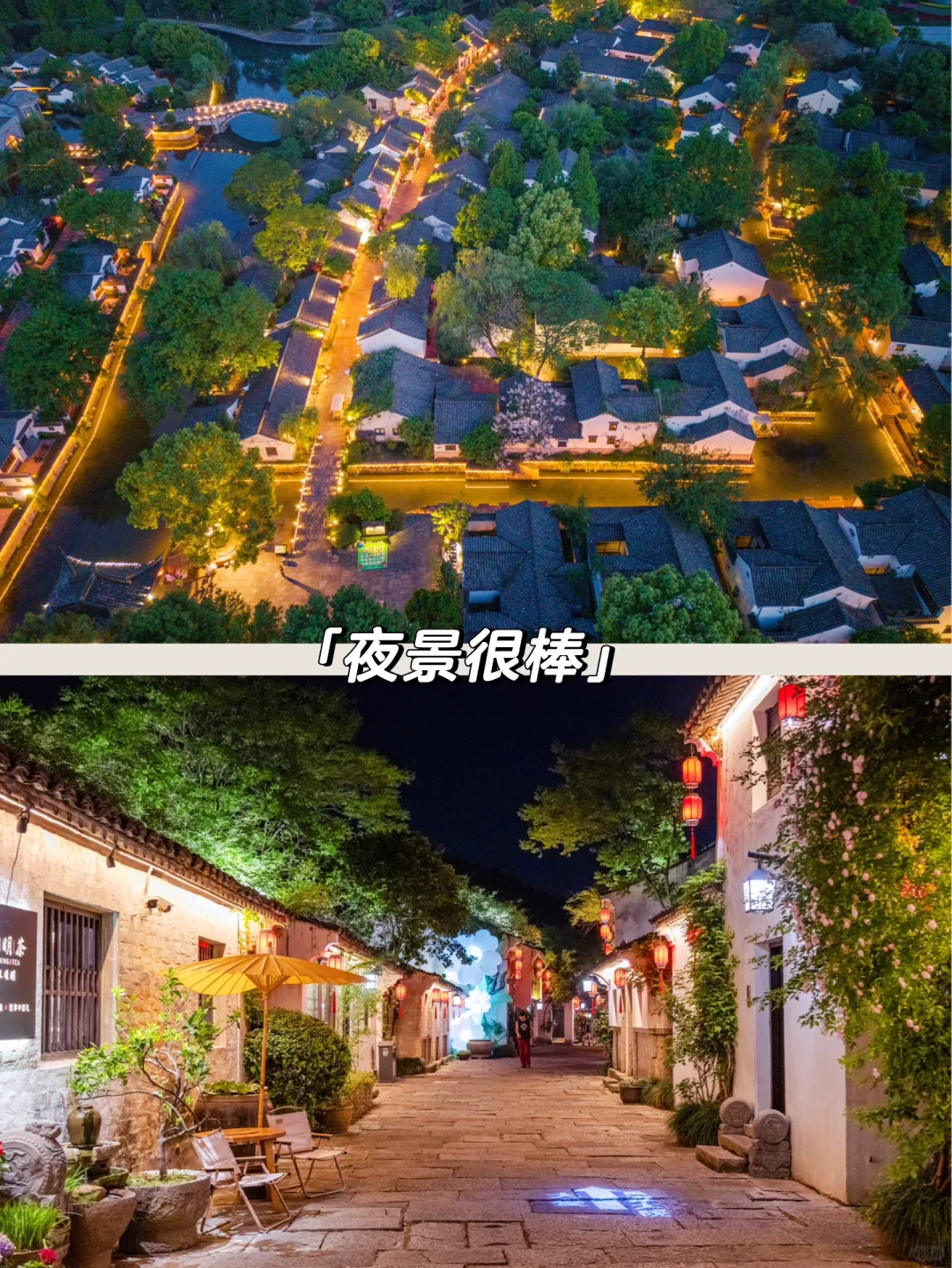 实拍，绍兴这个4000年古村，蔷薇花墙已上线