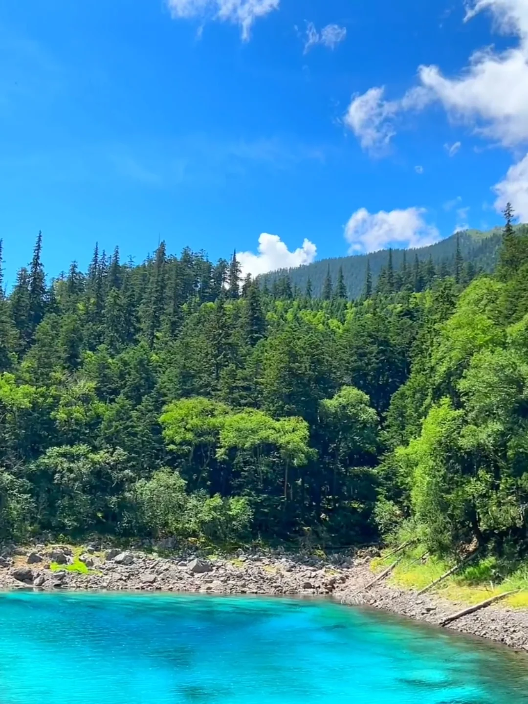 去年五一九寨沟live实况直出，劝退不了