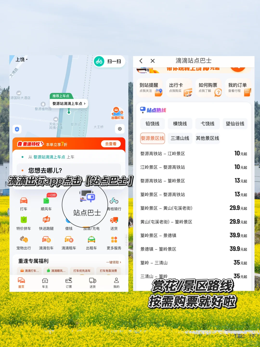 美哭了😭不愧是《国家地理》推荐的春日小城