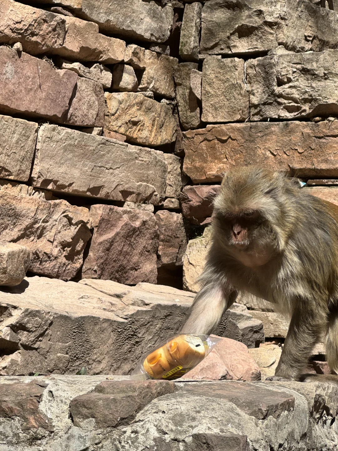 爱情山 | 路的尽头是新的自己ᡣ𐭩