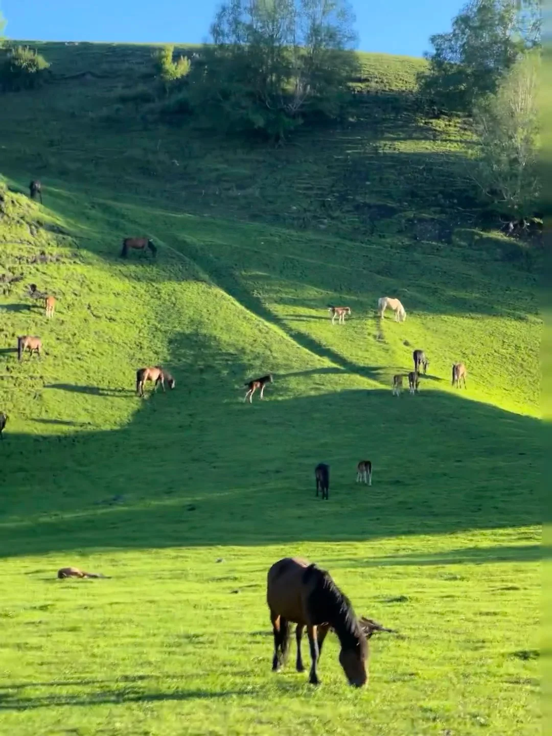 淡季的内蒙古真的是人生必去之地。。。