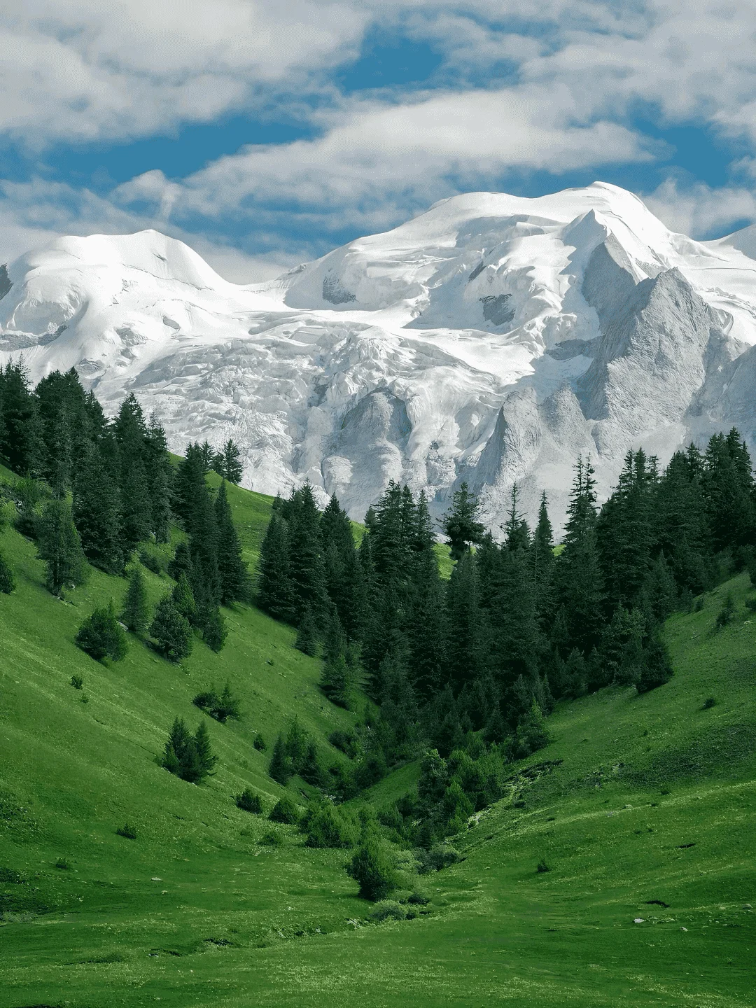 这里不是新疆！是川西顶级秘境—格聂