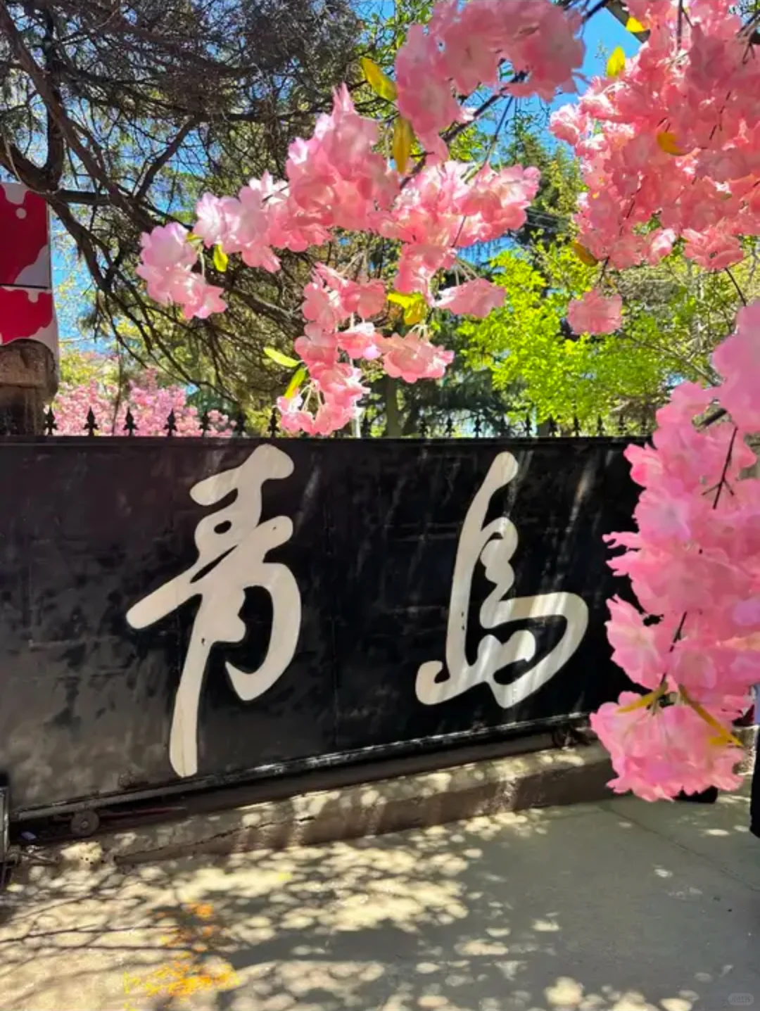 青岛3天2夜绝美玩法，红瓦绿树，碧海蓝天！