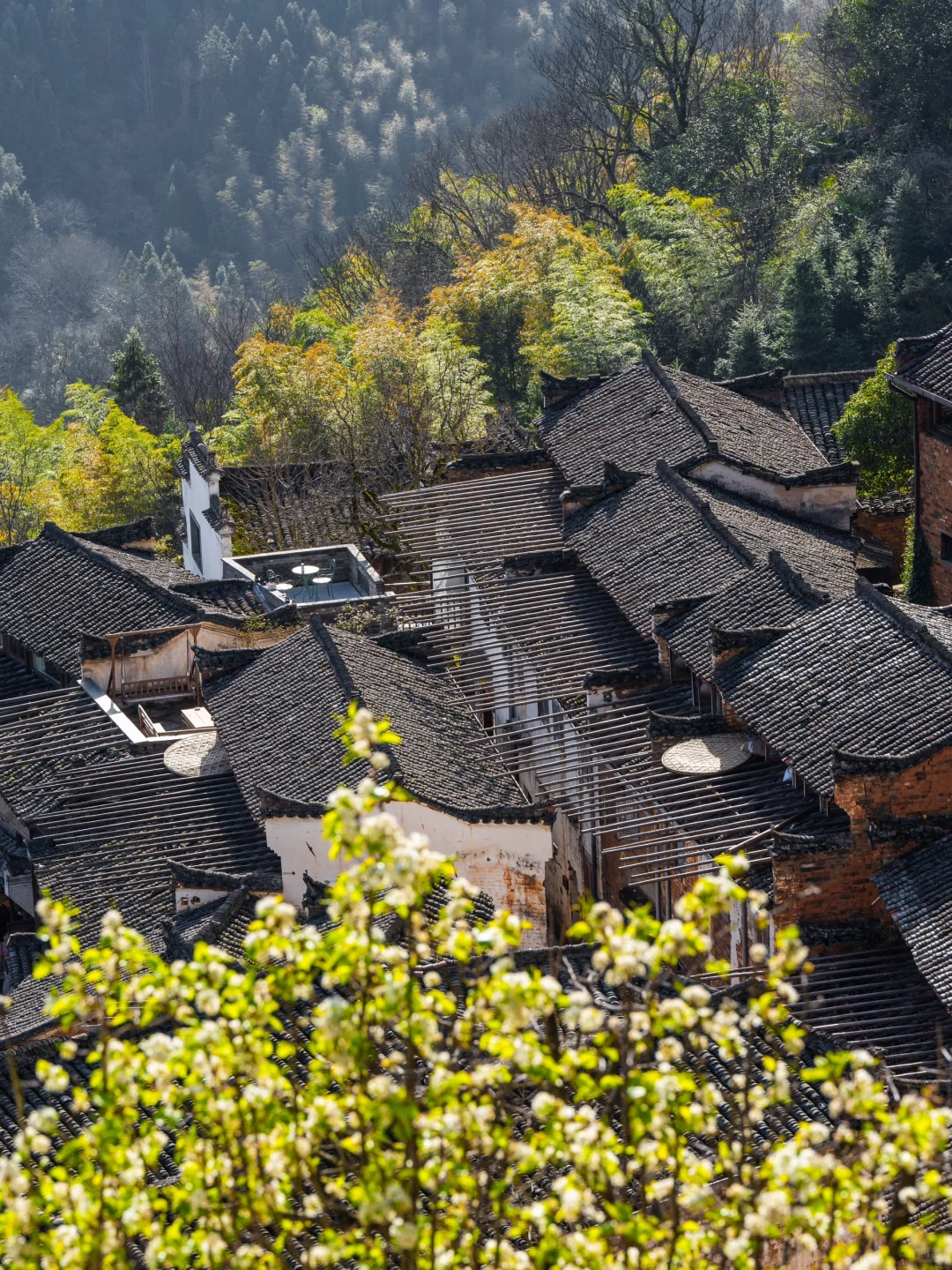 美哭了😭不愧是《国家地理》推荐的春日小城