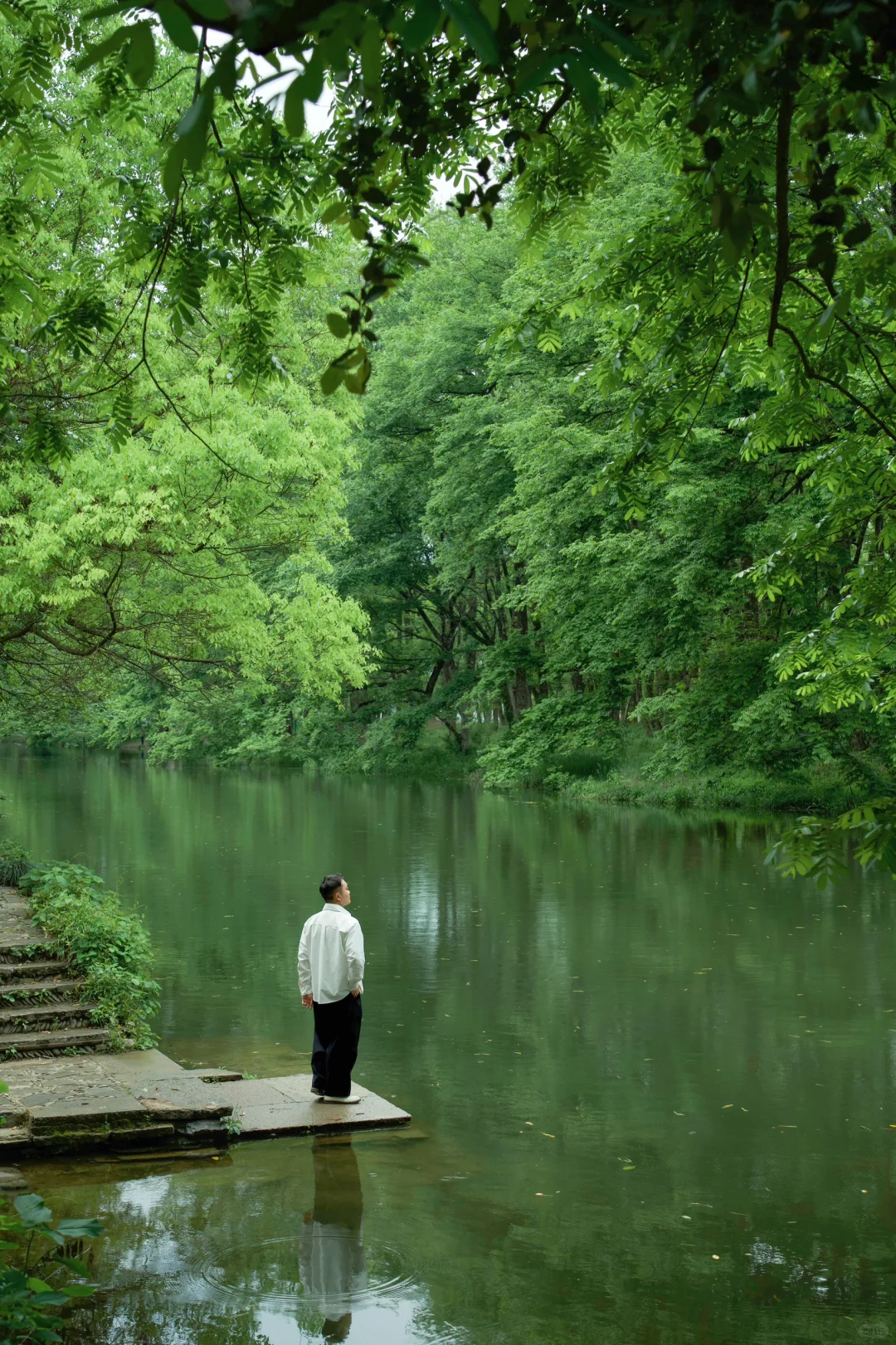 杭州2小时，我在黄山乡村找到了久违的松弛🍃