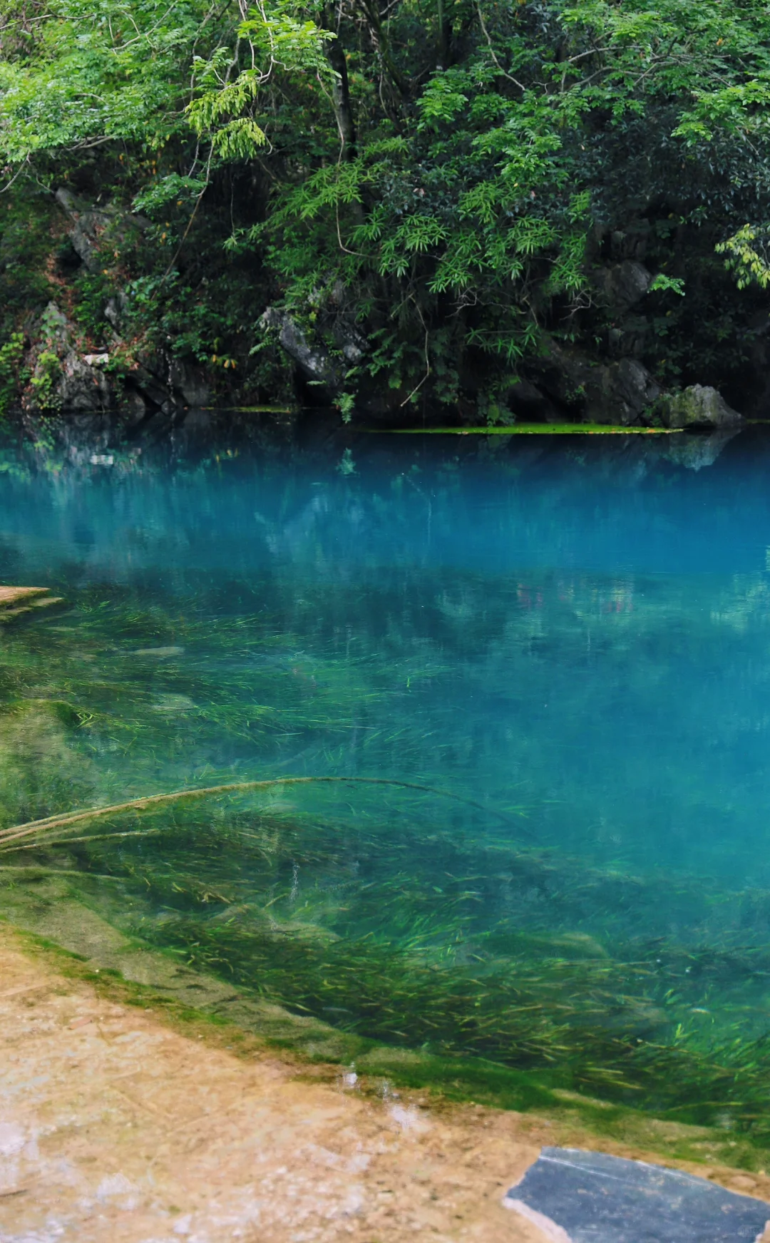 桂林周边游｜安和龙井村