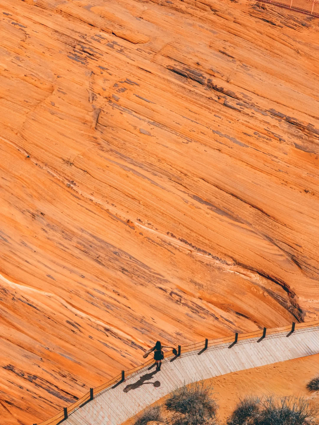 真的没有在美国，被眼前的一幕震撼到了...