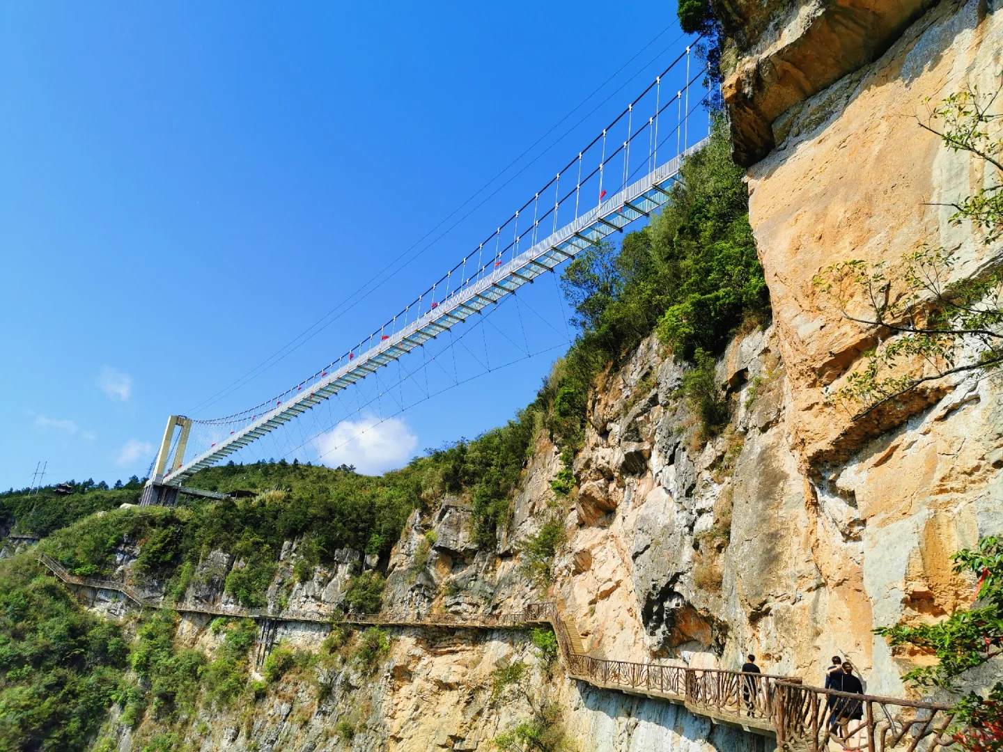 重庆高空体验森林休闲，五一刷屏打卡地！
