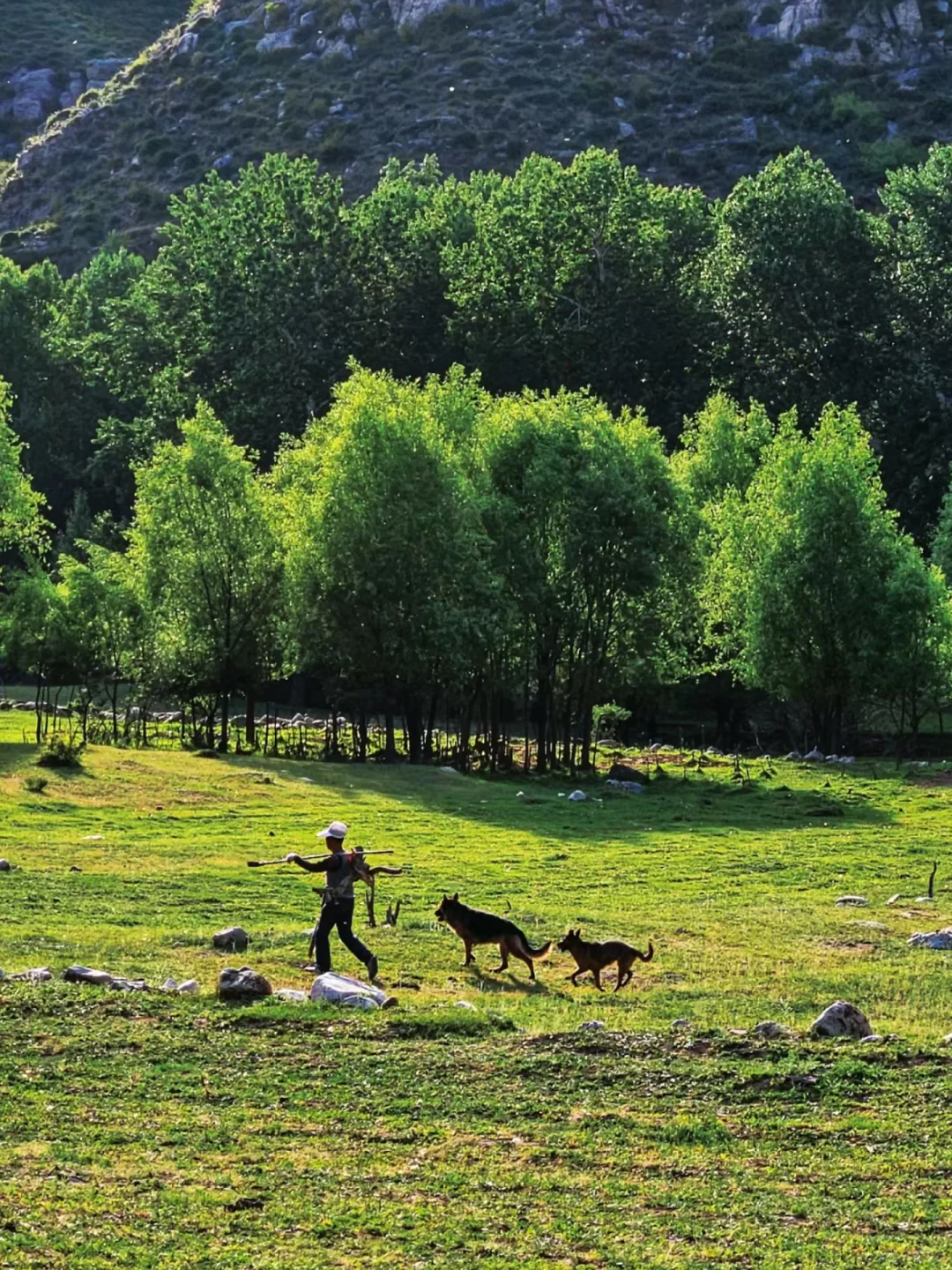 接下来的山西，一定会刷新你的想象…（合集版）