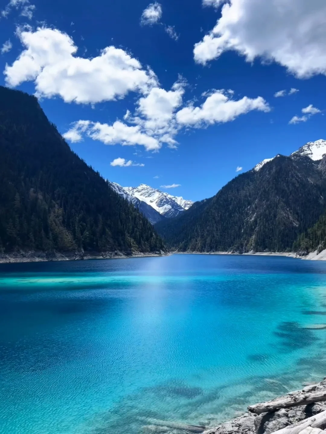 去年五一九寨沟live实况直出，劝退不了