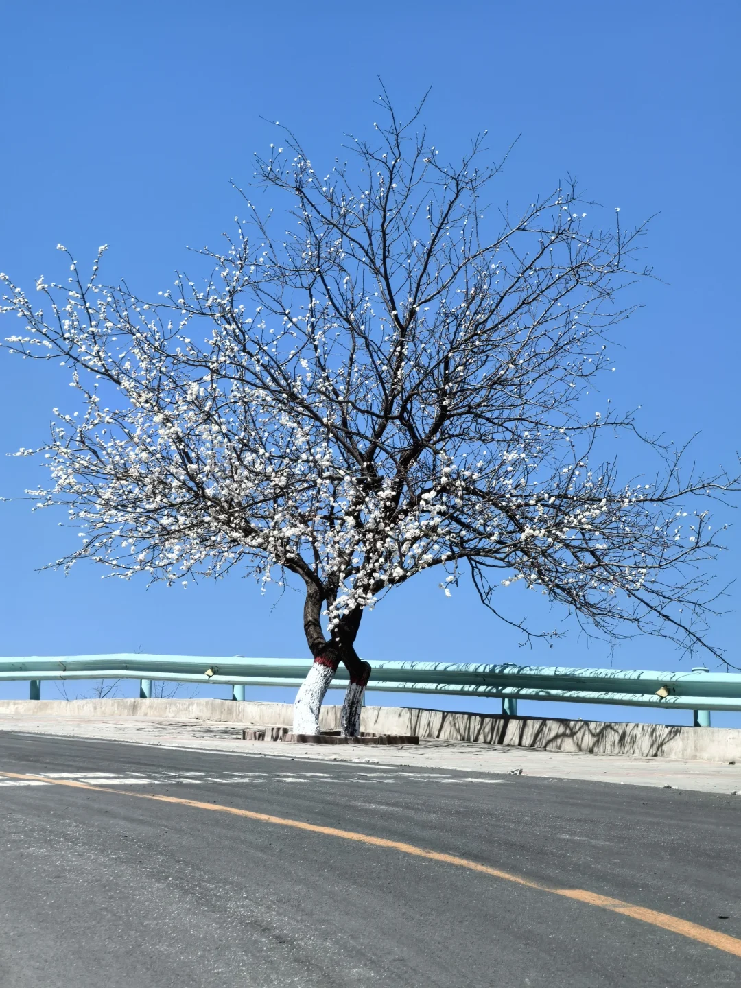 邯郸周边游｜自驾秘境 云端上的山水画廊