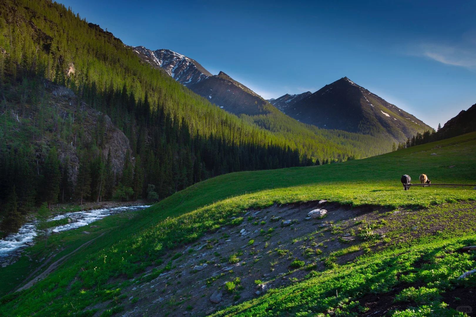 北疆攻略｜可可托海景区4月15日开园啦！