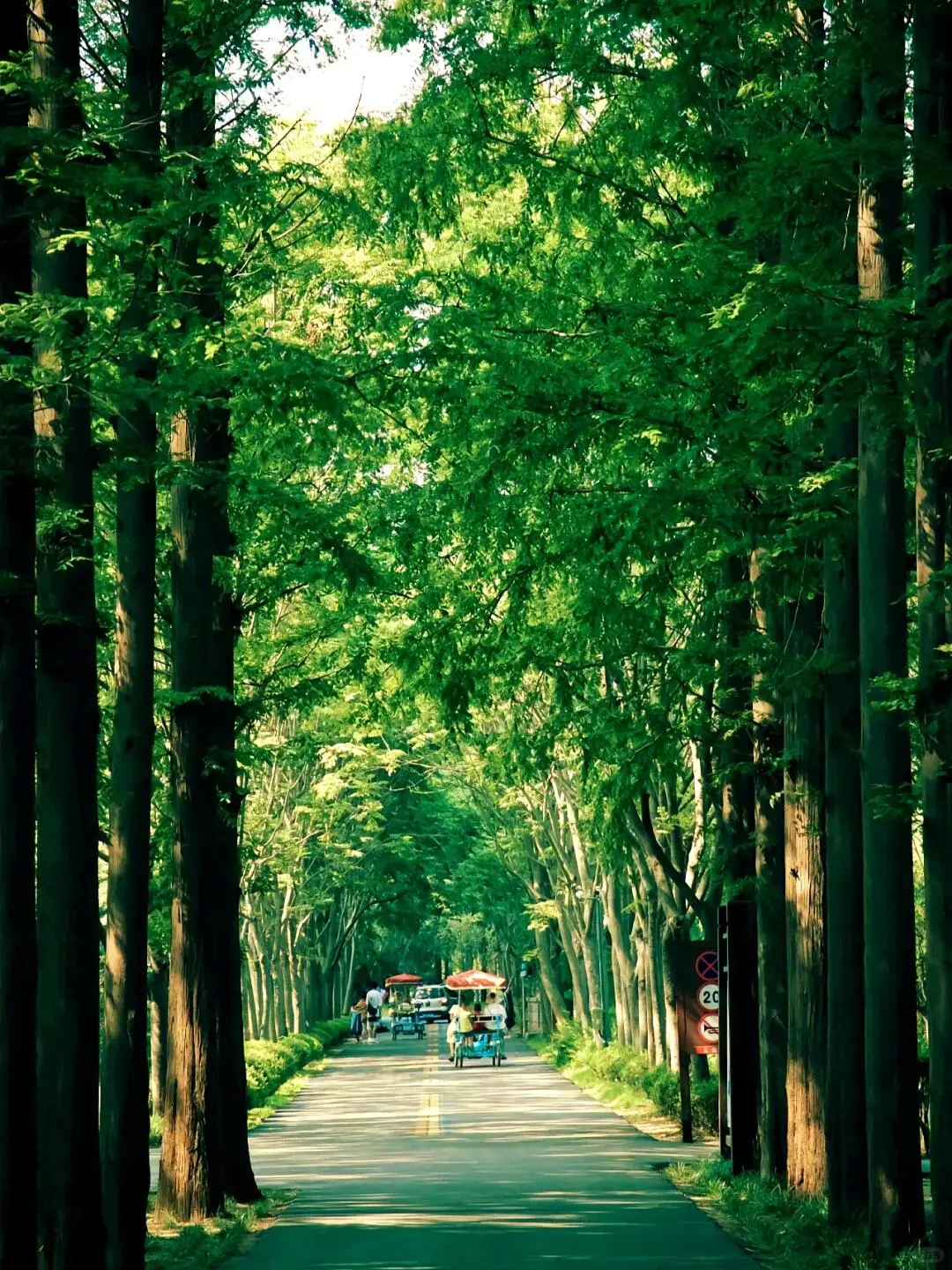 看这里‼️日照3天2晚必去的8个景点