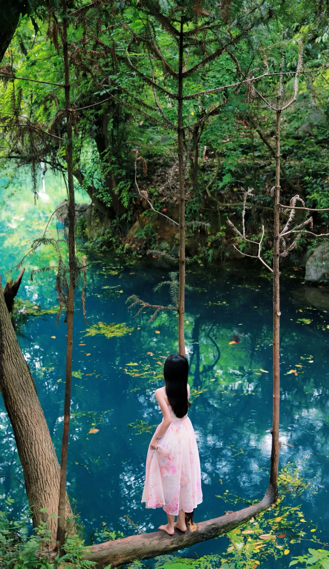 桂林周边游｜安和龙井村