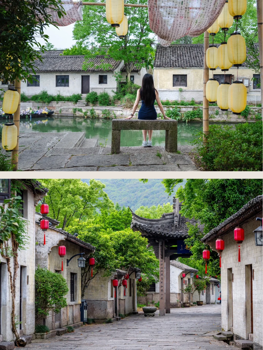 实拍，绍兴这个4000年古村，蔷薇花墙已上线