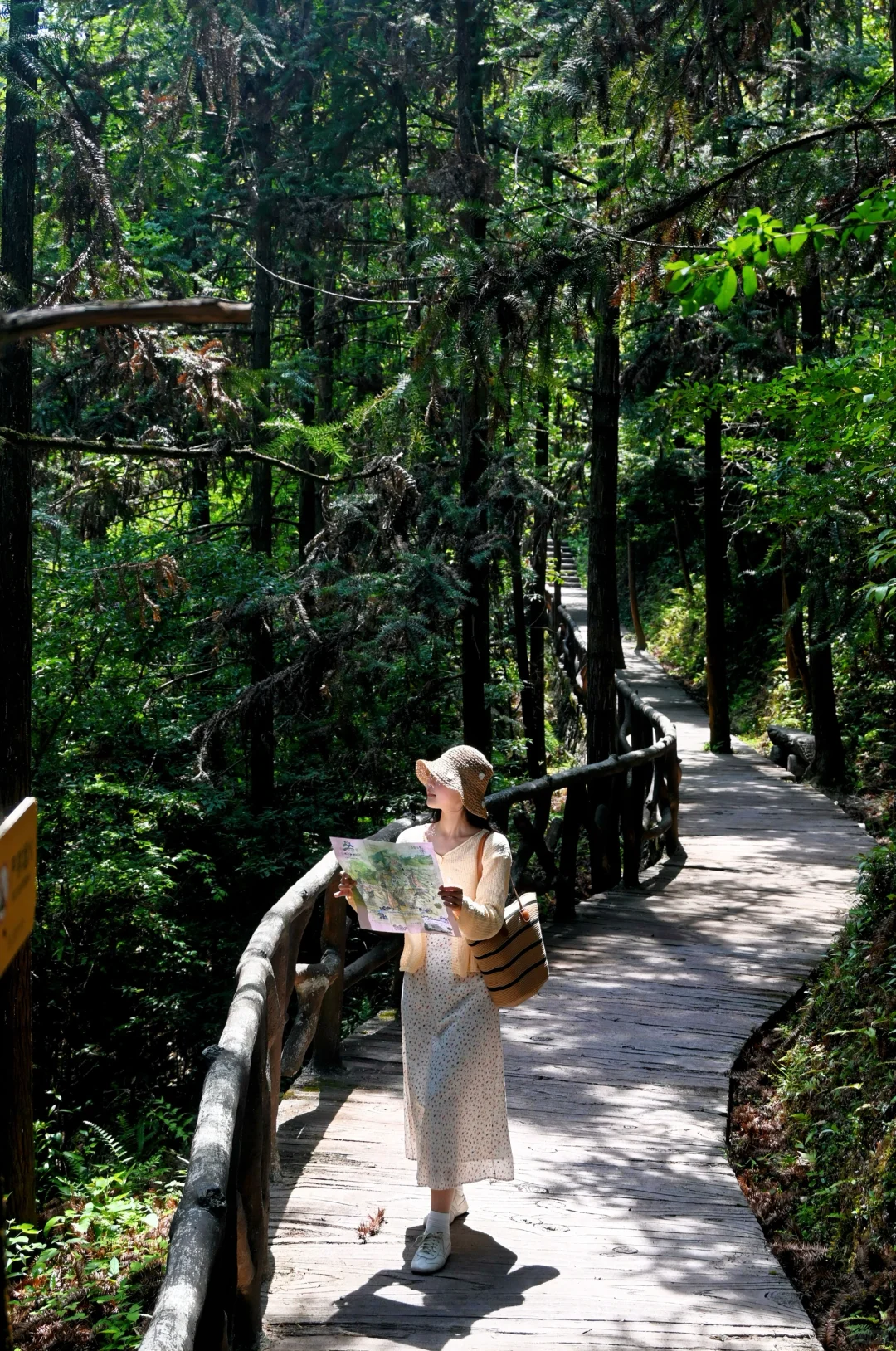 双童山懒人&暴走全攻略！玻璃桥+魔毯登顶‼️