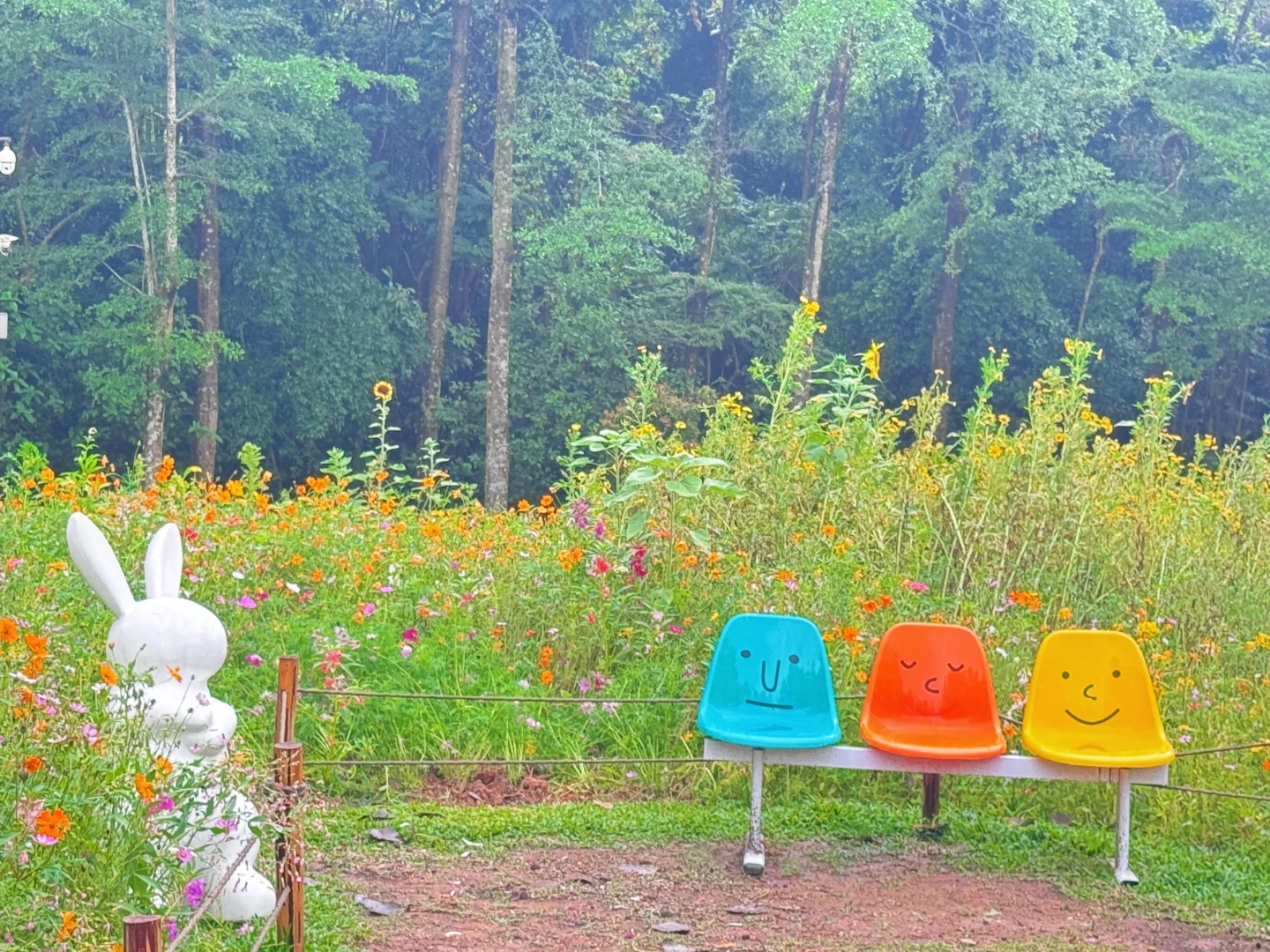 闯入现实版绿野仙踪 | 仙湖植物园🌳