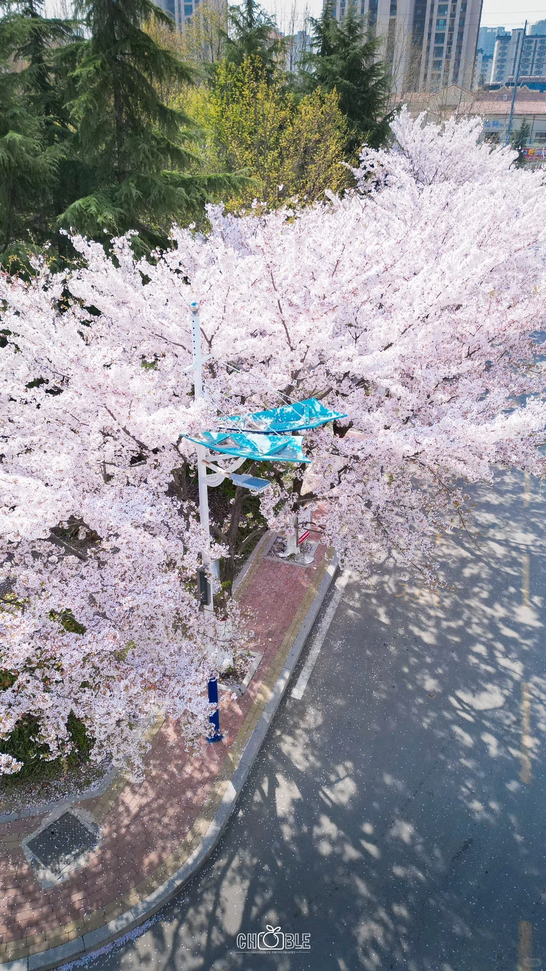 为了这18张照片！！去了趟淡季的青岛📍附机位