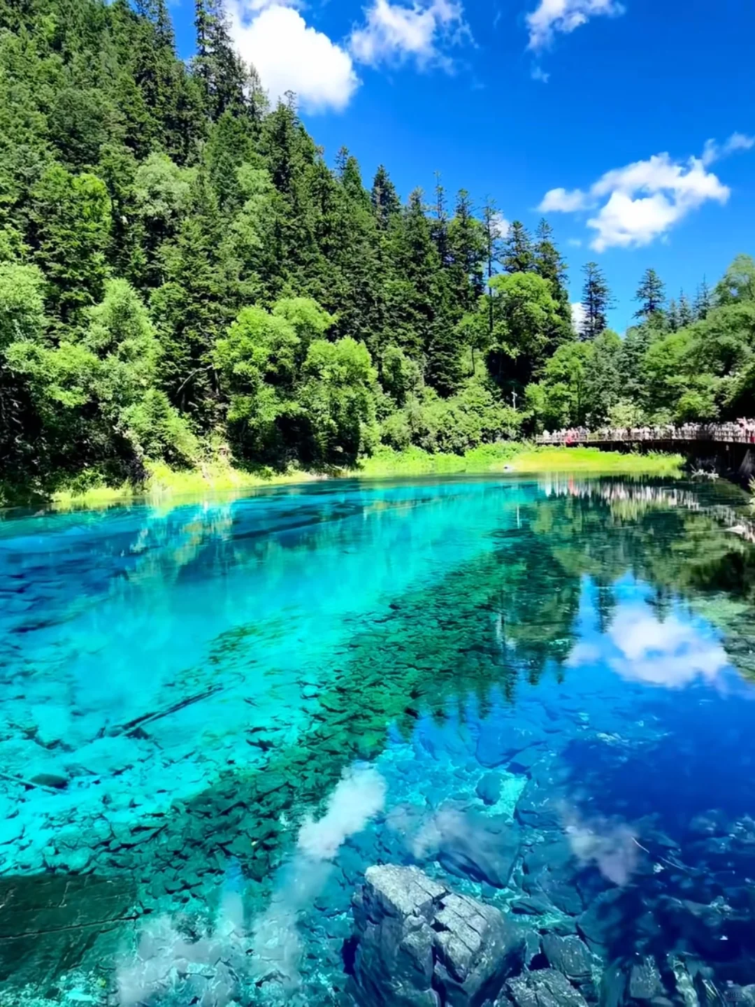 去年五一九寨沟live实况直出，劝退不了