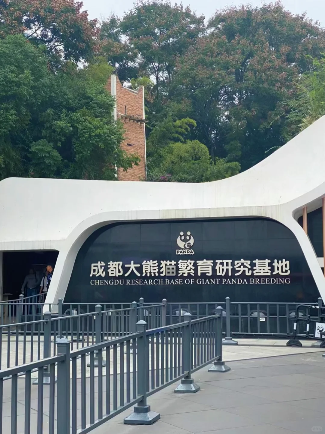 成都4天3夜超全攻略！人均2000玩到嗨