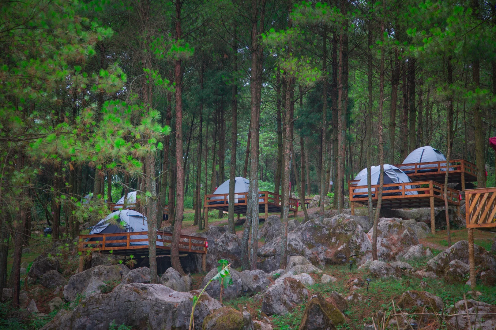 重庆高空体验森林休闲，五一刷屏打卡地！