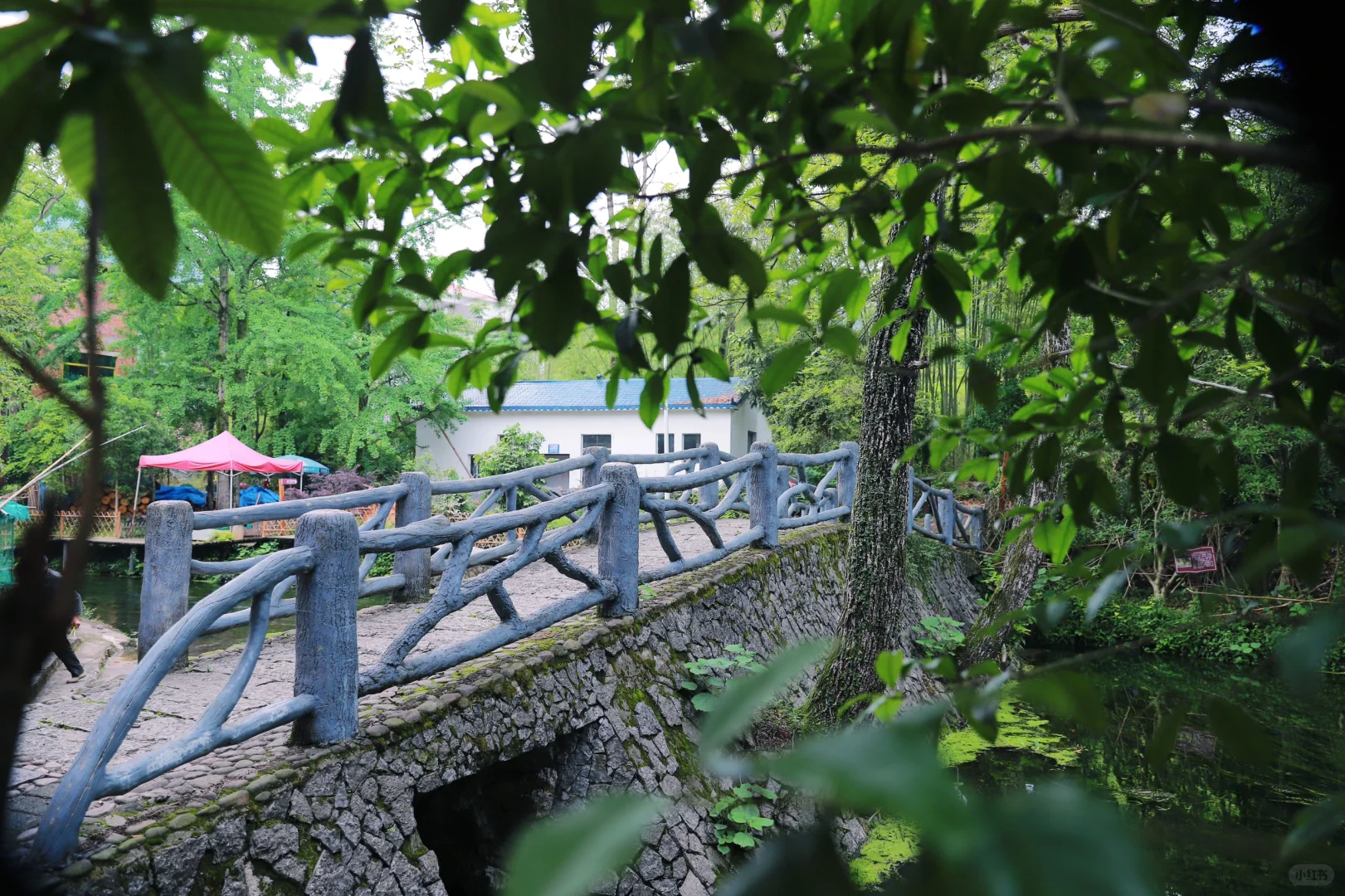 桂林周边游｜安和龙井村