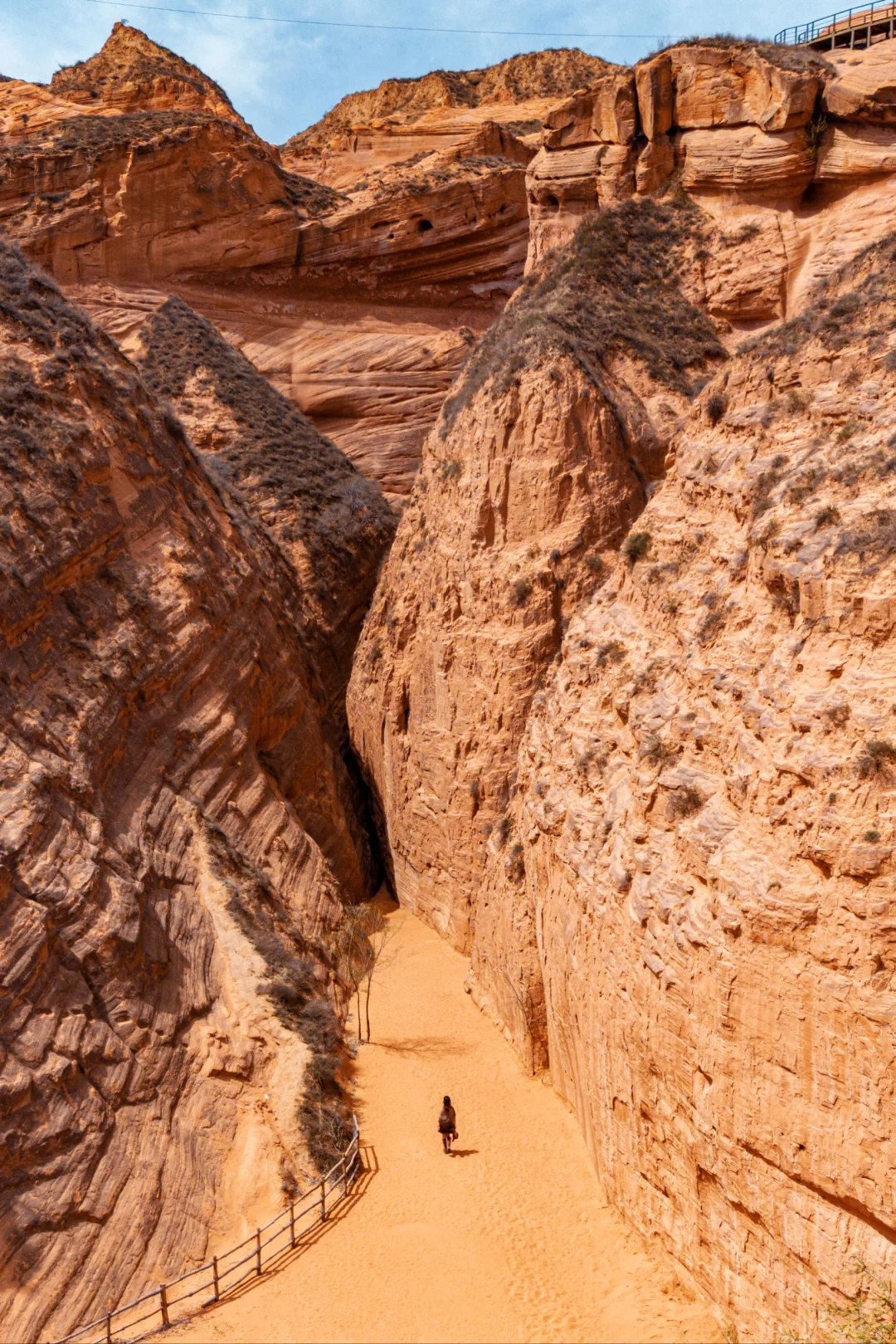 真的没有在美国，被眼前的一幕震撼到了...