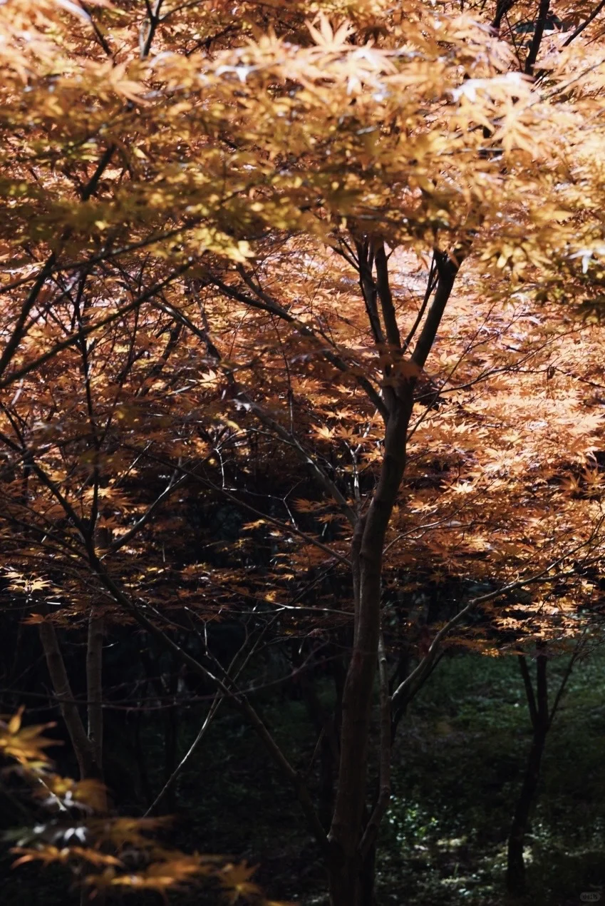 什邡神瀑沟徒步路线