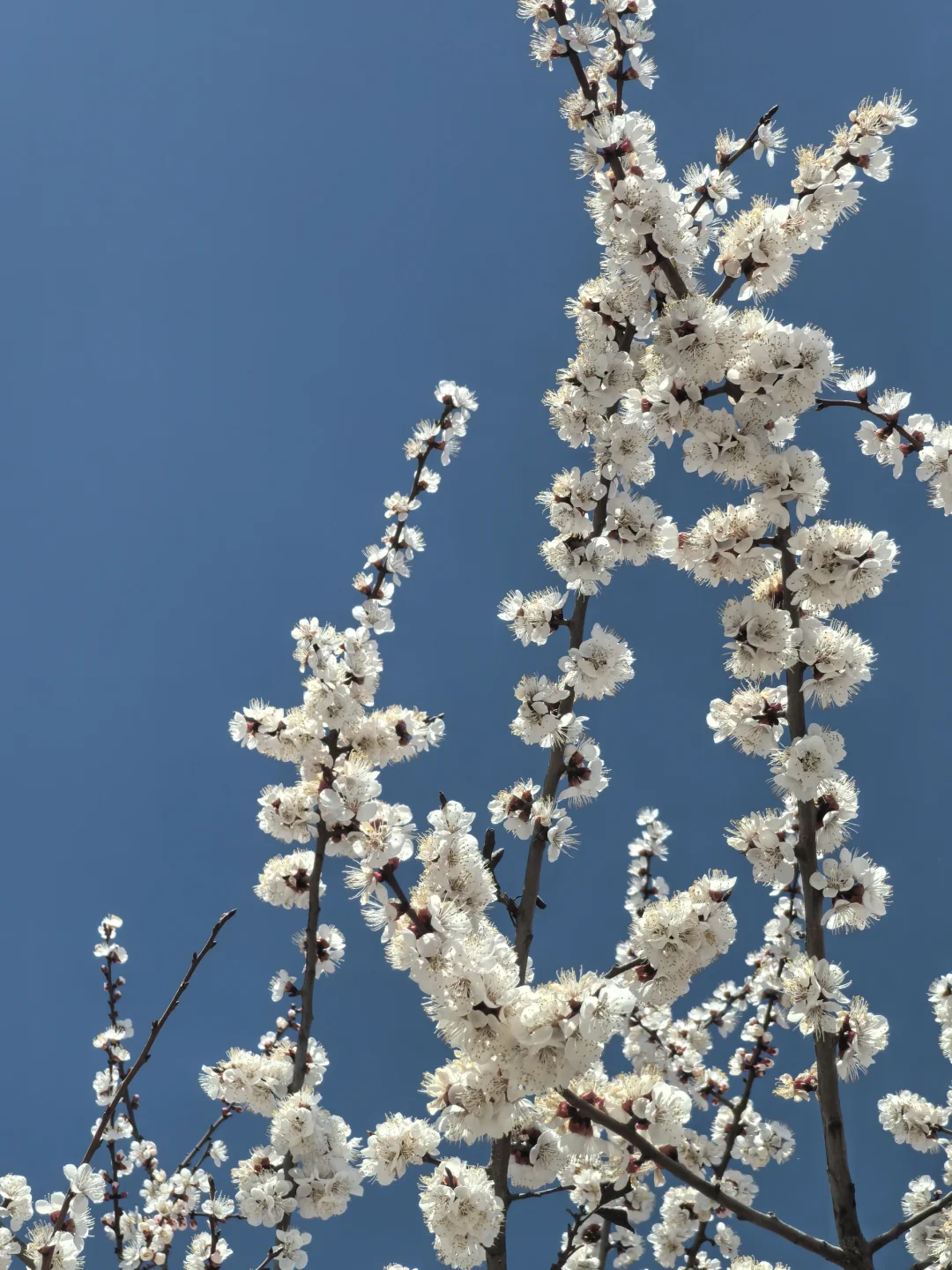 邯郸周边游｜自驾秘境 云端上的山水画廊