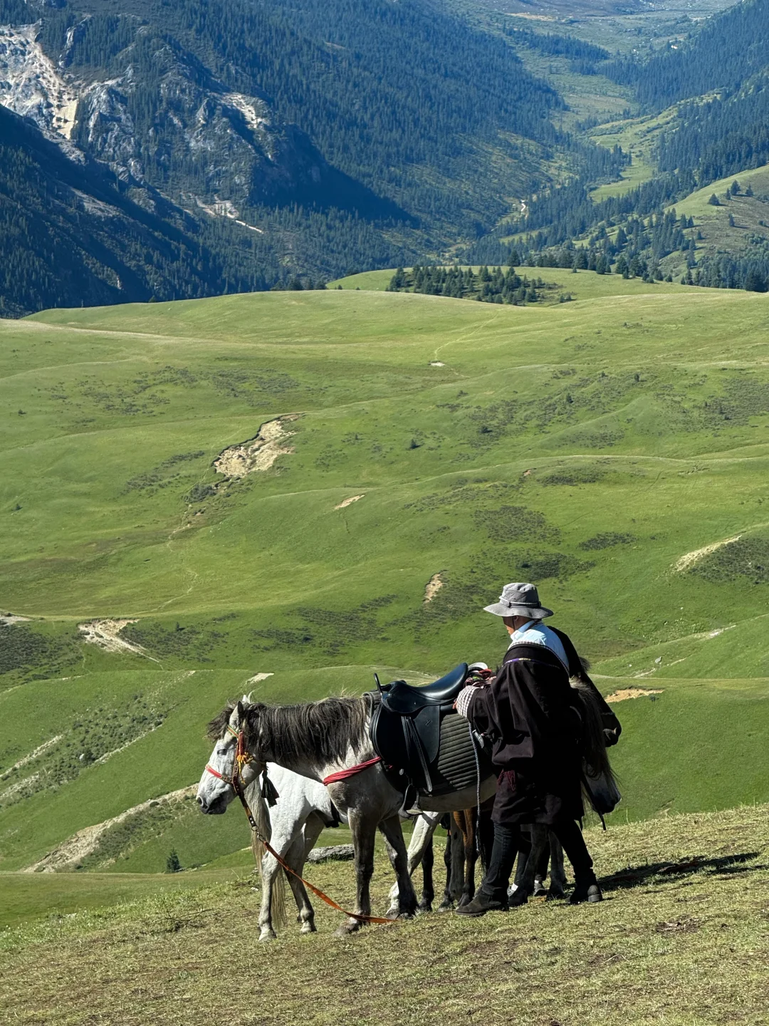 我很少用震撼形容一个地方！！（live）