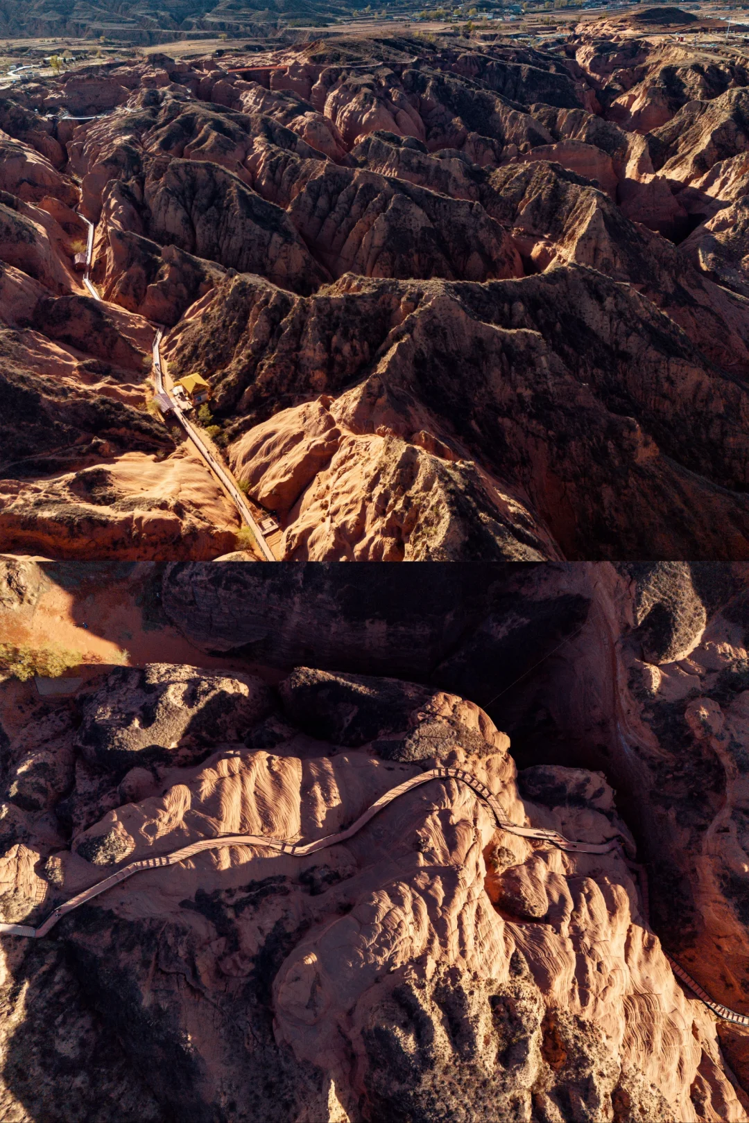 真的没有在美国，被眼前的一幕震撼到了...