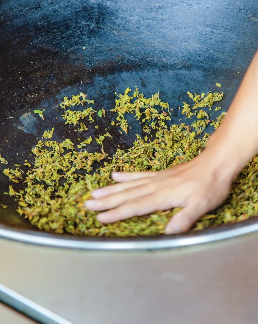 超令人难忘的景点一七彩森林 🌳