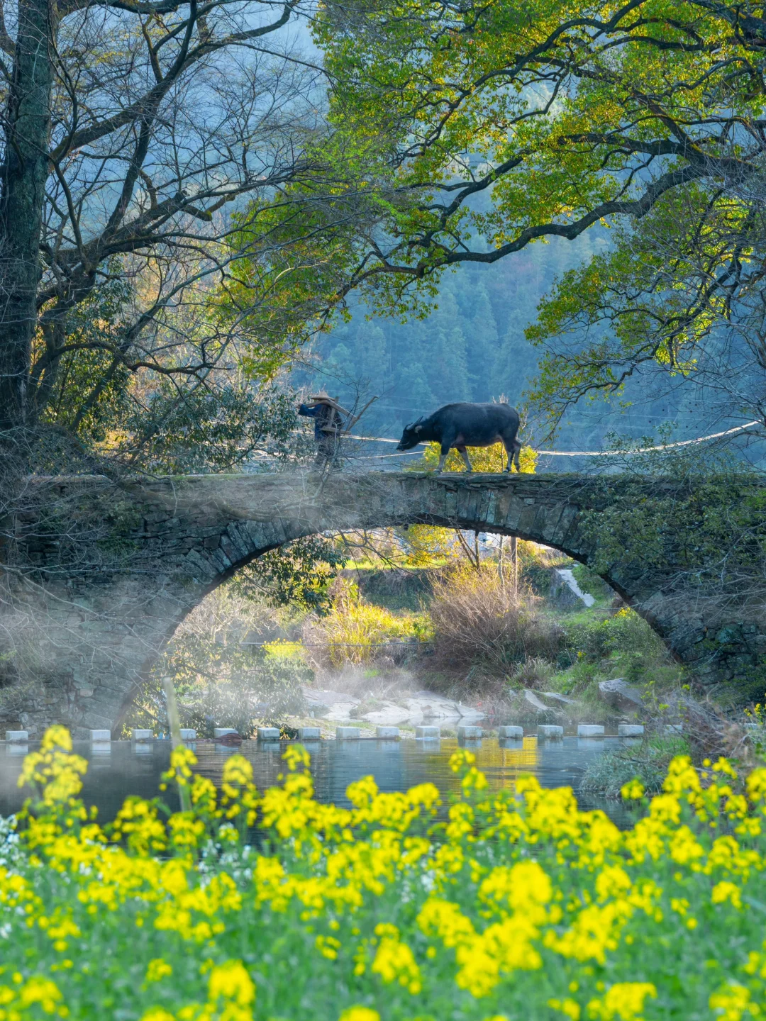 美哭了😭不愧是《国家地理》推荐的春日小城