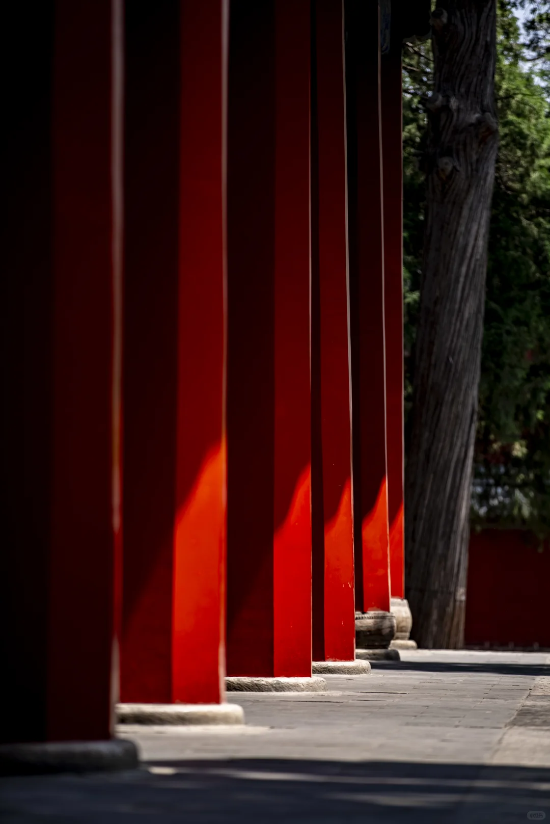 去景区加班之又来拍孔庙了