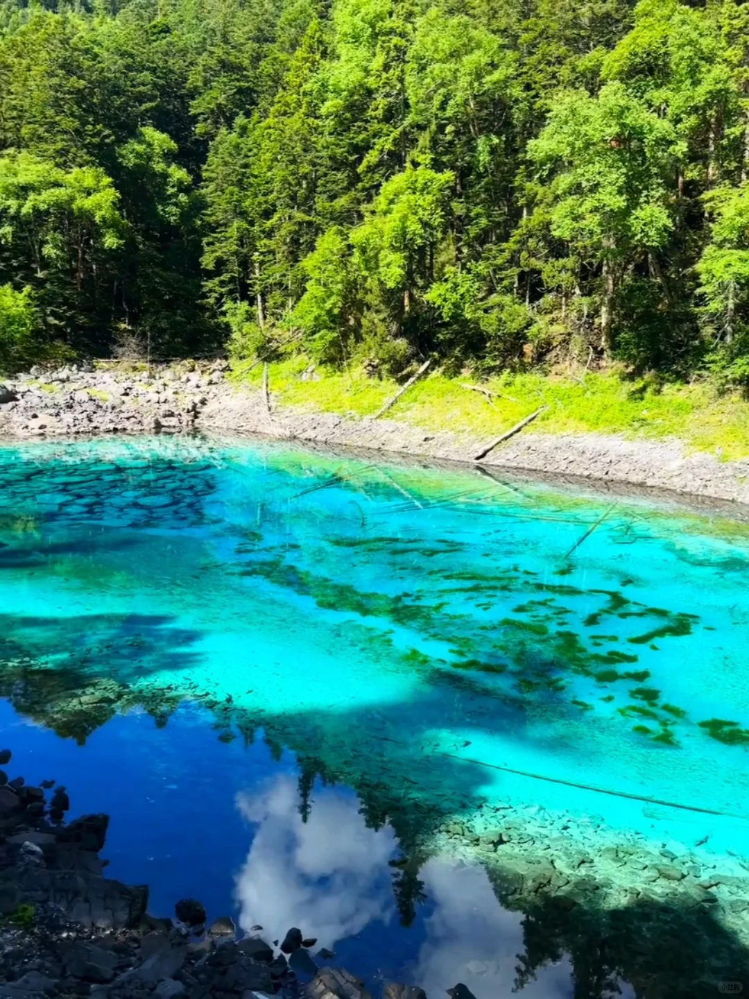 去年五一九寨沟live实况直出，劝退不了