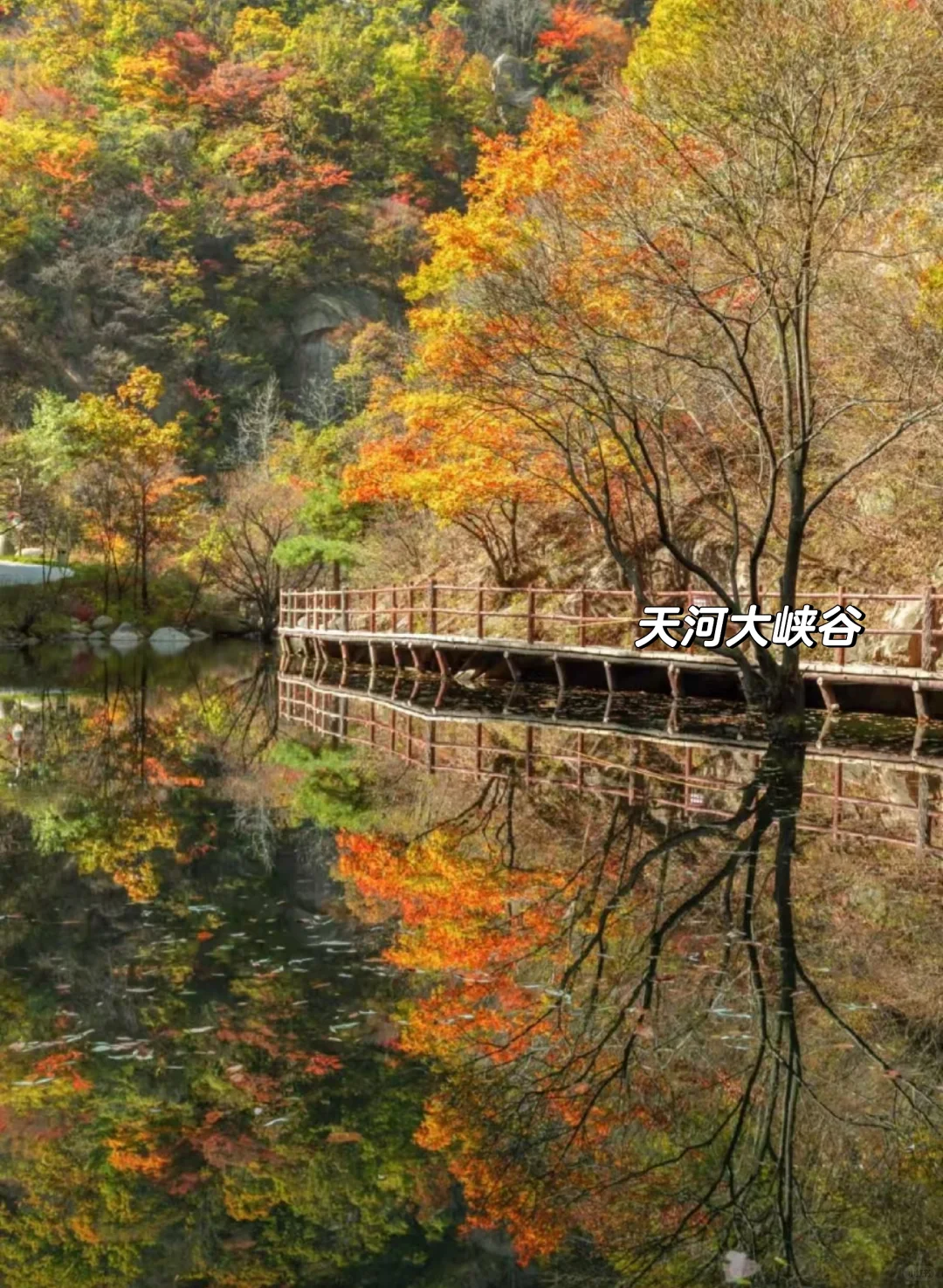 邯郸到洛阳栾川，鸡冠洞+天河大峡谷二日游