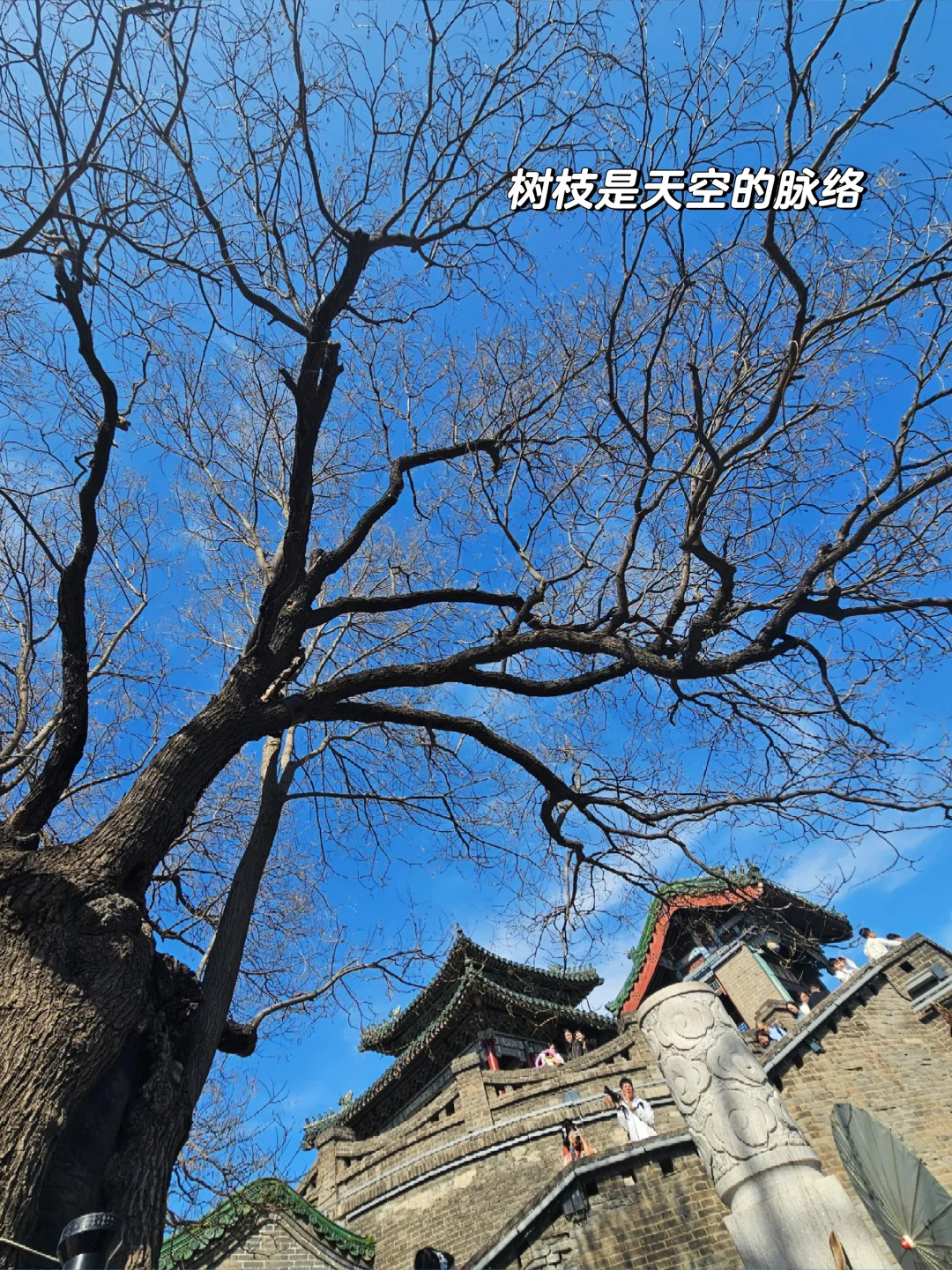 💙邯郸｜身着蓝色战国袍，日照邯都碧宇遥