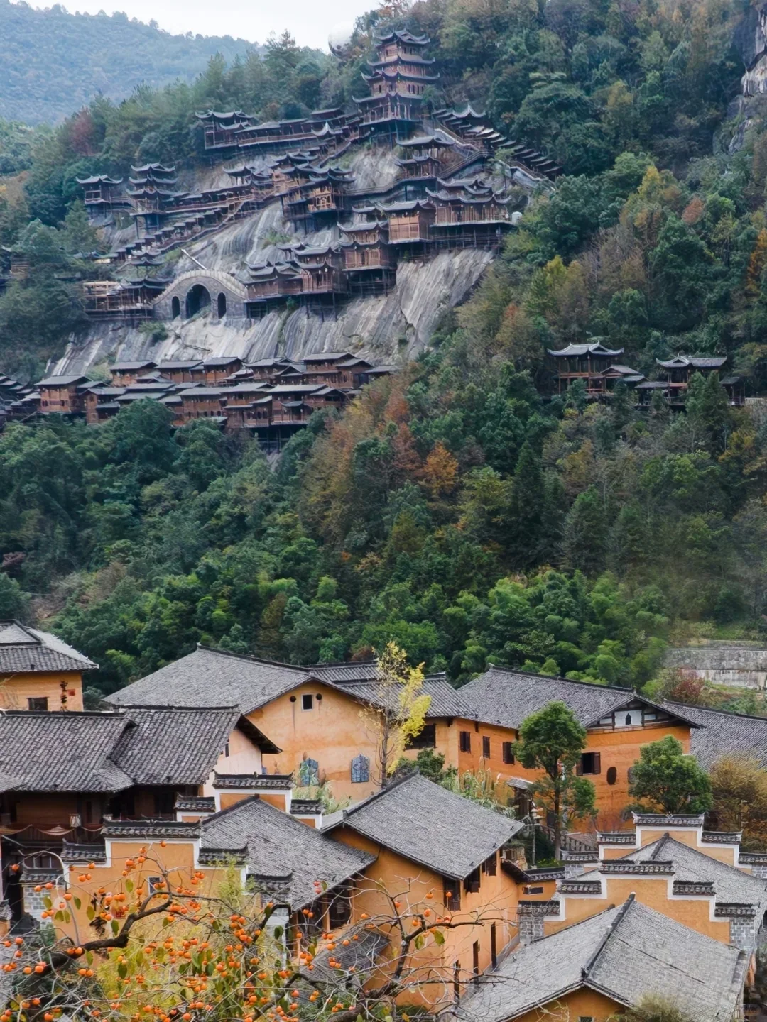 望仙谷中的隐藏秘境！🔥🔥🔥