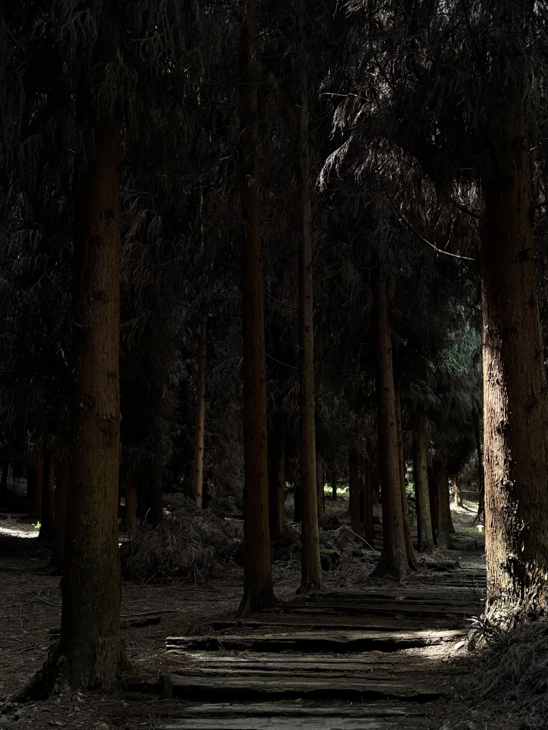 什邡神瀑沟徒步路线